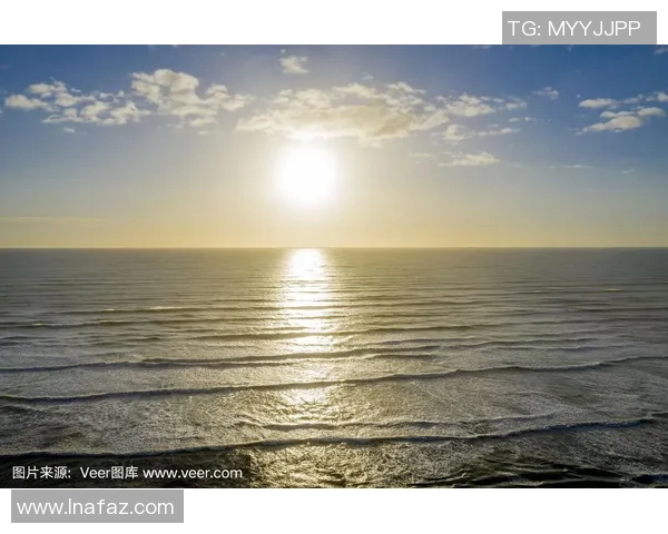 太阳评分揭晓 赛季表现高光还是低迷？各方解读与分析